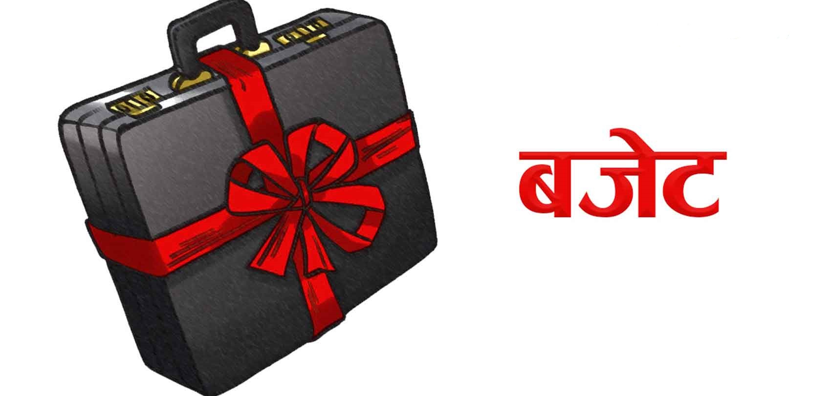 आगामी बजेटले निजी क्षेत्रको लगानी आकर्षित गर्ने