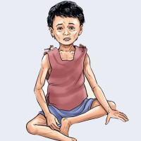 दाङ जिल्ला अदालतद्वारा सेवा सुरु
