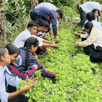 डेडिकेटेड फिडर र ट्रङ्कलाइन समस्या सुल्झाइने