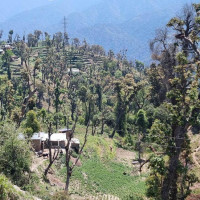 दुर्घटनामा एकको मृत्यु, तीन घाइते