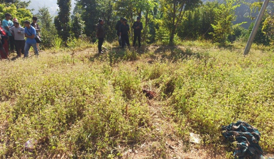 सासू हत्या प्रकरण : तीन वर्षपछि सौतेनी बुहारी पक्राउ