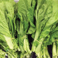 महानगरको बिचमा अस्थिपञ्जर भवन