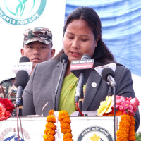 महानगरको बिचमा अस्थिपञ्जर भवन