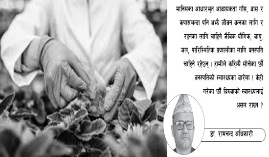 संविधानको जनपक्षीय कार्यान्वयन