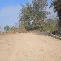 उन्नत बिउले बढायो गहुँ उत्पादन