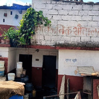 स्वादको संसारमा सङ्घर्षशील यात्रा