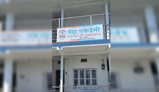 स्थानीय तह उपनिर्वाचनः सबै नतिजा (विवरण सहित)