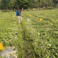 सुक्खा बन्दरगाह निर्माणको आग्रह