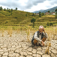 रानीजमराको कृषिकार्यक्षेत्र सात स्थानीय तहमा विस्तार