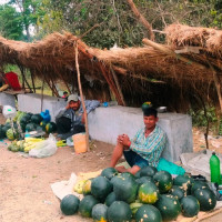 आजका लागि विदेशी मुद्राको विनिमयदर स्थिर