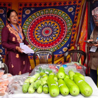 जोखिम न्यूनीकरणका लागि तयारी