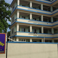 हाइब्रिड मकैको बिउ उत्पादनबाट किसानको आम्दानी बढ्दै