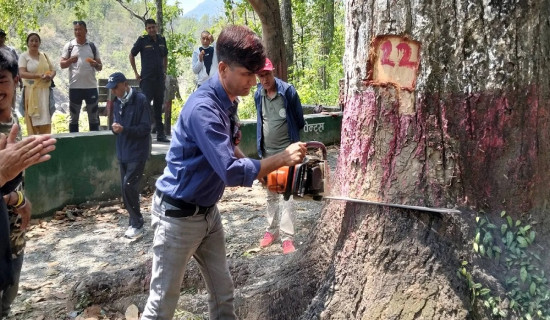 सडक र फुटपाथको अतिक्रमण हटाउँदै चन्द्रपुर नगरपालिका