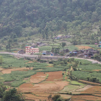 दुर्गा प्रसाईंलाई थुनामुक्त गर्न सर्वोच्चको आदेश