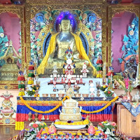 ट्राफिक कारबाहीमा चार लाख ४८ हजार राजस्व सङ्कलन