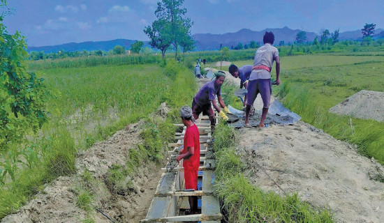 कुलो पक्की बनेपछि किसानमा उत्साह