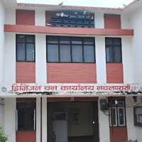 कोरला नाका : खोजिँदै मूल फुटाउने उपाय