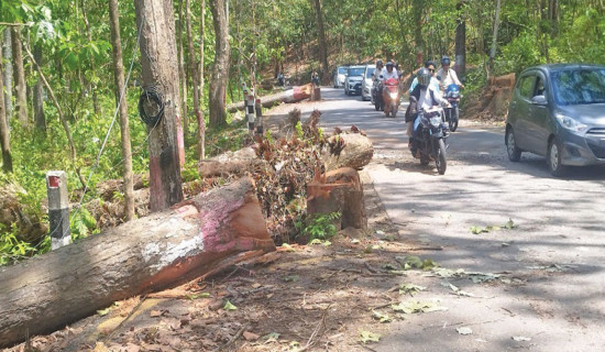 सञ्चारमन्त्री खरेल गृह जिल्लामा