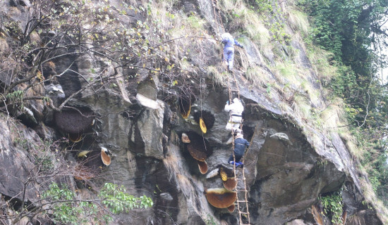 चीनसँगका समझदारी दूरगामी महत्त्वका : प्रधानमन्त्री