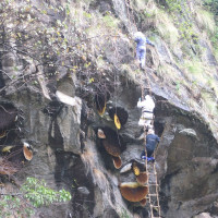 नेपालका तीन क्षेत्र भूकम्पको जोखिममा छन्: डा. अधिकारी