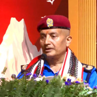 बेवारिसे  अवस्थामा ११ राउण्ड गोली फेला