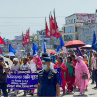 झापामा धानको समर्थन मूल्य तोकियो, खाद्य कम्पनी ५० हजार क्विन्टल धान खरिद गर्दै