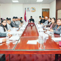 अन्तर्राष्ट्रिय उडान आधा घट्यो