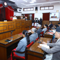 अन्तर्राष्ट्रिय उडान आधा घट्यो