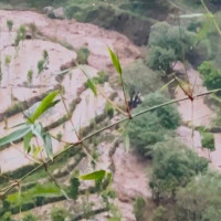 निर्वाचन, सहमति र विश्वास