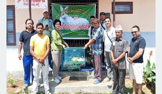 निर्वाचन, सहमति र विश्वास