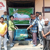 निजामती होइन, सार्वजनिक सेवा