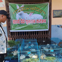 वाद्यवादनप्रति महिलाको बढ्दो रुचि