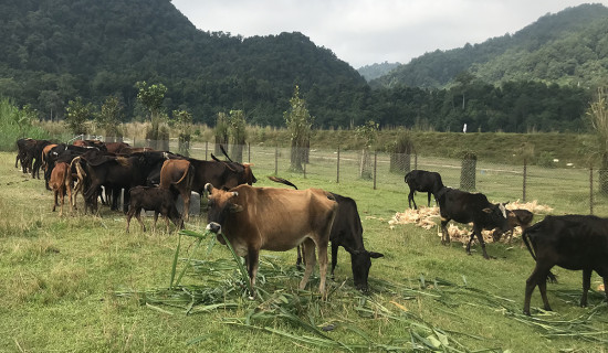 बाँझो जमिनमा उत्पादन र कृषि पर्यटन केन्द्र