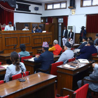 राष्ट्रिय सभाको बैठक सुरु