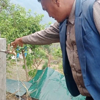 राष्ट्रपतिबाट सरकारको नीति तथा कार्यक्रम प्रस्तुत (प्रत्यक्ष प्रसारण)