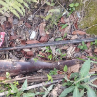 लोकतन्त्र विरोधी अभ्यास सह्य हुँदैन : नेता अधिकारी