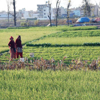 राष्ट्रिय डिजिटल पूर्वाधार स्थापना