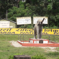 स्याङ्जाको जङ्गलमा बेवारिसे अवस्थामा भेटियो बन्दुक