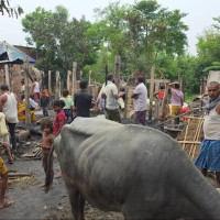 बार एसोसिएसनमा दुई प्यानलबिच प्रतिस्पर्धा हुने