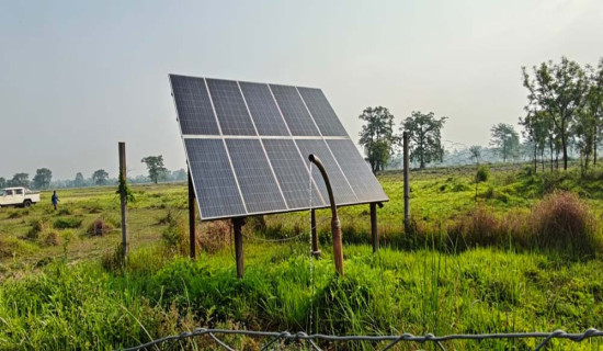 गर्मी बढेसँगै कृष्णसार संरक्षणमा सोलार पोखरी