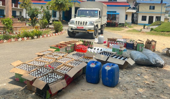 रोल्पामा अरिङ्गालको टोकाइबाट बालकको मृत्यु