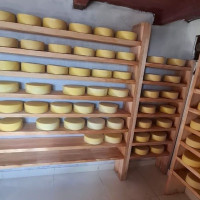 नारायणी नदीमा हामफालेर एक महिलाको मृत्यु