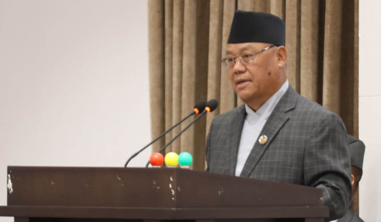 संसदीय प्रणालीप्रतिको प्रतिबद्धता र निष्ठामाथि शङ्का उत्पन्न  भयो : आङदेम्बे