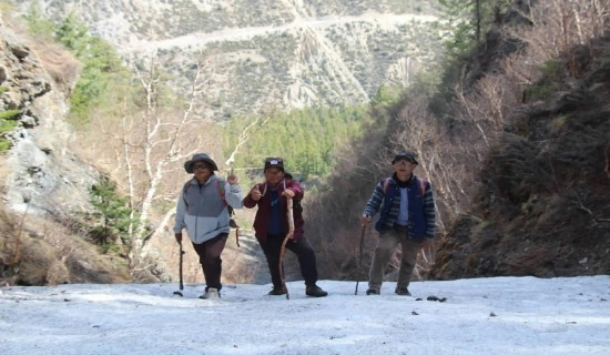 यार्चागुम्बा सङ्कलनअघि मनाङमा संयुक्त अनुगमन