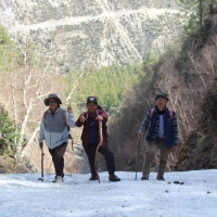 मालश्री धुन गुन्जँदा दर्शनार्थी आनन्दित