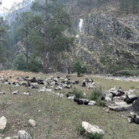 चहलपहल छ, व्यापार छैन