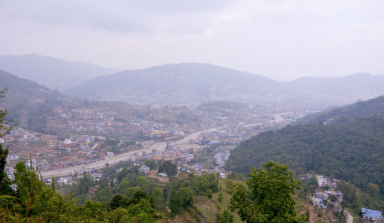 मातृभाषा राष्ट्रिय सेवा पुरस्कारबाट प्राध्यापक तुलाधर सम्मानित