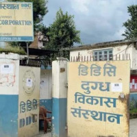 निजामती कर्मचारी  ‘परीक्षामा अब्बल, काममा दुर्बल’