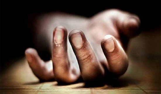 आँबुखैरेनीमा बसको ठक्करबाट पैदल यात्रीको मृत्यु