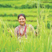 पर्यटनमा जोडियो मह सिकार